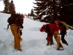 Pár fotek ze Základní kurzu Skialpinismu, Velmi dobré sněhové podmínky (prašánek) prověřili účastníky a jejich lyžařské schopnosti. Lavinové riziko posuzovali všichni za nádherného počasí a tak mráz vydepat jen jednu účastnici... - fotografie 91
