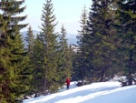 Základní kurz skialpinismu, Záverečný kurz této zimní sezony proběhl. Sněhu je již méně a tak i program tomu byl přizpůsoben. Na náladě to však určitě nebylo vidět a všichni jsme si tento jarní kurz parádně užili. Slunečná neděl - fotografie 17