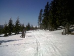 Základní kurz skialpinismu 16.-18.3.2012, Parádní jarní počásko, tvrdý firn a čistě chlapská parta. K tomu vyvrcholení na Sněžce a bezva náladička. Prostě se to vydařilo. - fotografie 16